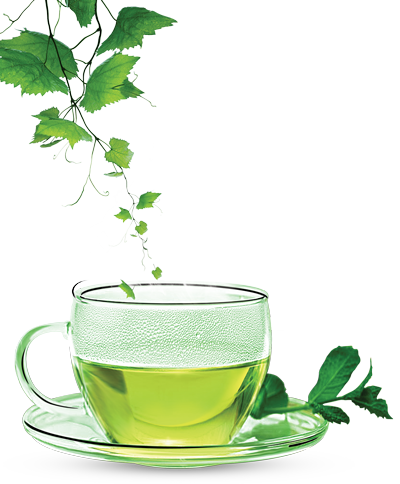 Green-Tea-PNG-Clipart